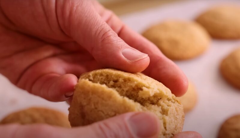 Cinnamon Cookies texture