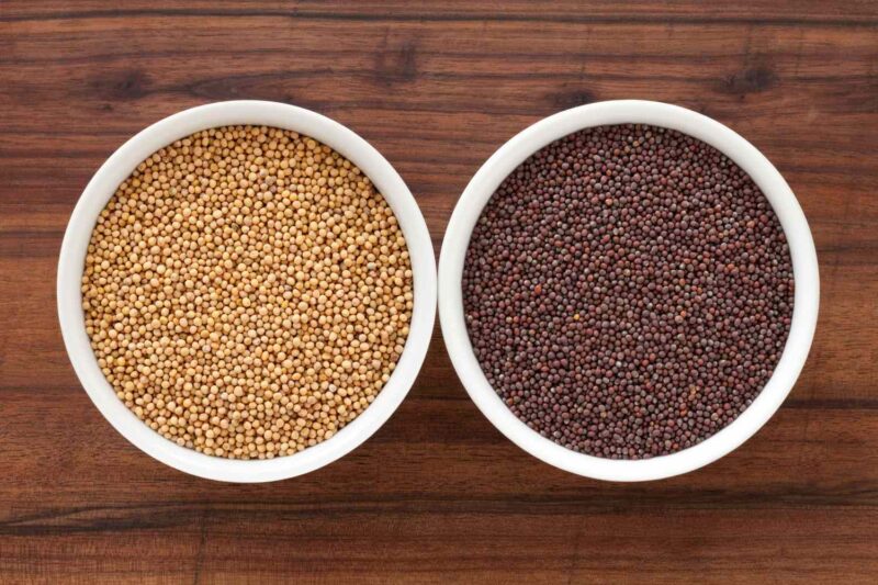 Mustard seeds are versatile and flavorful. Learn how to use them different recipes.